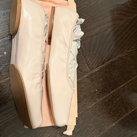 Reformation x NYC Ballet Barbara Ballet Flat Morning Dew Size 9